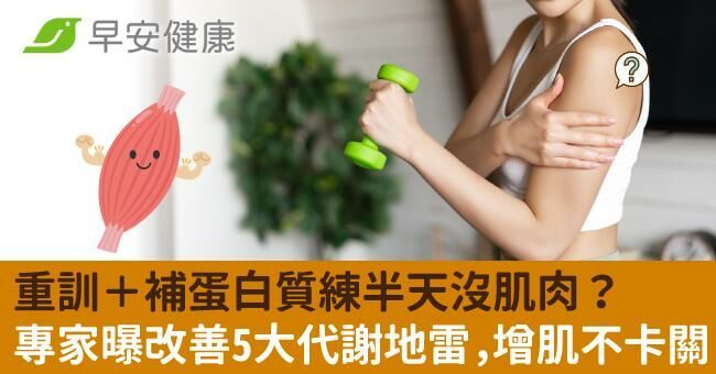 重訓+補蛋白質練半天沒肌肉?專家:改善5大代謝地雷,增肌不卡關