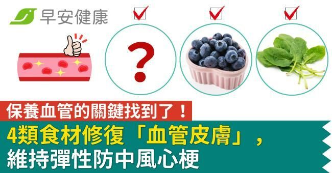 保養血管的關鍵找到了!4類食材修復「血管皮膚」,維持彈性防中風心梗